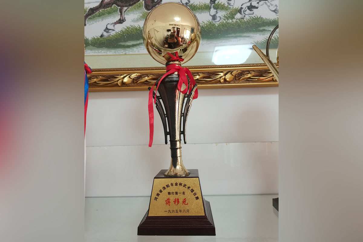 河南省洛陽(yáng)市金杯武術(shù)擂臺(tái)賽散打第一名蔣移元